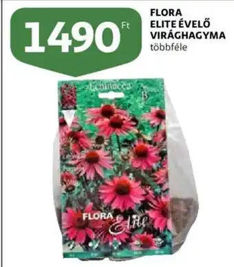 Auchan Flora elite évelő virághagyma ajánlat