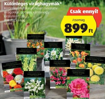 ALDI Különleges virághagymák 1 csomag ajánlat