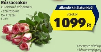 ALDI Rózsacsokor 1 csokor ajánlat
