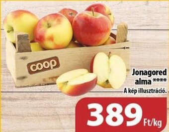 Coop Jonagored alma 1 kg ajánlat