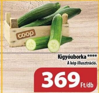 Coop Kígyóuborka 1 db ajánlat
