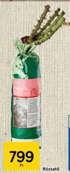Tesco Rózsatő 1 db ajánlat
