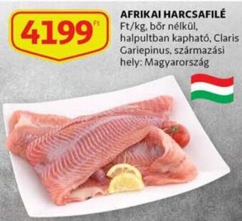 Auchan Afrikai harcsafilé 1 kg ajánlat