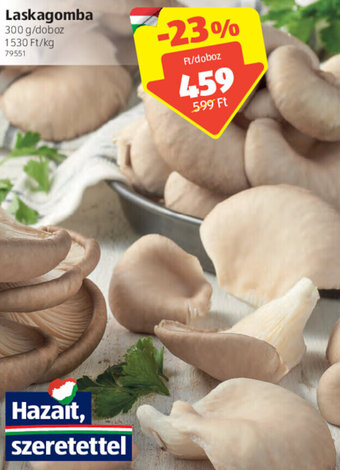 ALDI Laskagomba 300 g ajánlat