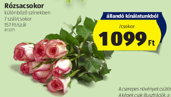 ALDI Rózsacsokor 7 szál ajánlat