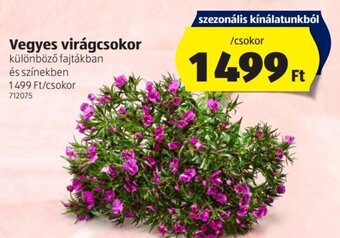 ALDI Vegyes virágcsokor 1 csokor ajánlat