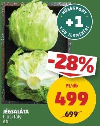 PENNY Jégsaláta 1 db ajánlat