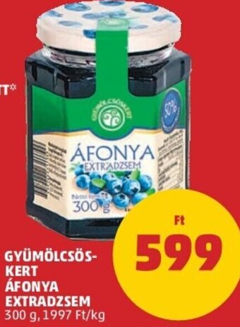 PENNY Gyümölcsöskert Áfonya extradzsem 300 g ajánlat