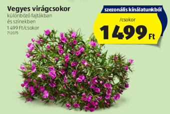 ALDI Vegyes virágcsokor 1 csokor ajánlat