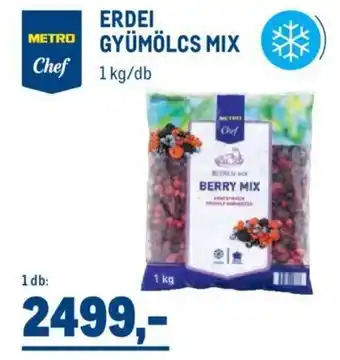 Metro Erdei gyümölcs mix 1 kg ajánlat