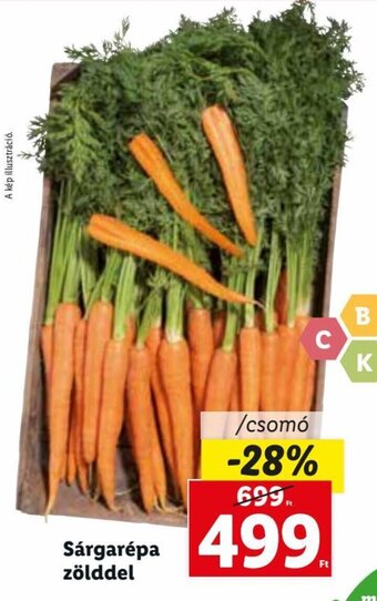 Lidl Sárgarépa zölddel 1 csomó ajánlat