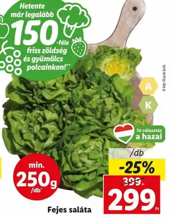 Lidl Fejes saláta 250 g ajánlat