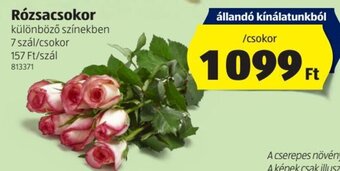 ALDI Rózsacsokor 7 szál ajánlat