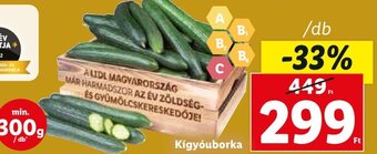 Lidl Kígyóuborka 1 db ajánlat