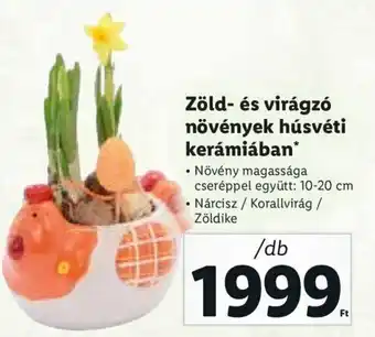 Zöld- és virágzó növények húsvéti kerámiában 1 db