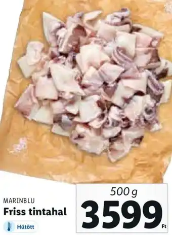Lidl Marinblu friss tintahal 500 g ajánlat