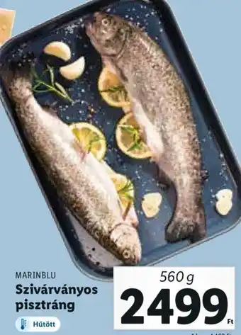 Marinblu szivárványos pisztráng 560 g