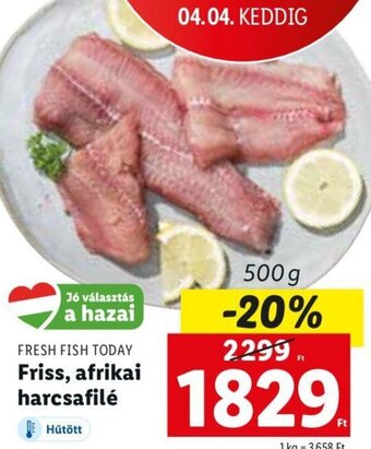 Fresh Fish Today friss, afrikai harcsafilé 500 g