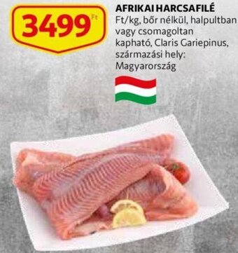 Auchan Afrikai harcsafilé 1 kg ajánlat