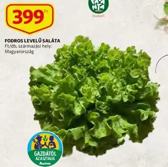 Auchan Fodros levelű saláta 1 db ajánlat