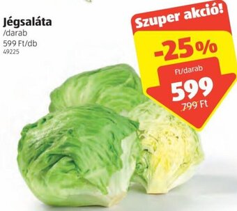 ALDI Jégsaláta 1 db ajánlat