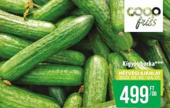 Coop Kígyóuborka 1 db ajánlat