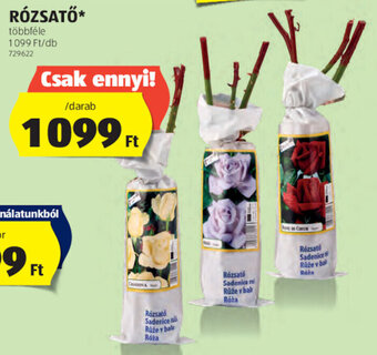 Rózsatő 1 db