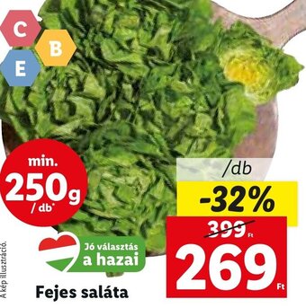 Lidl Fejes saláta 1 db ajánlat