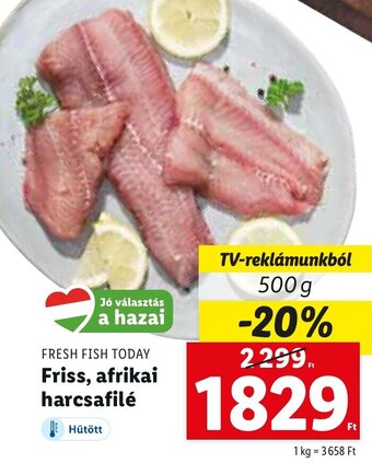 Lidl Fresh Fish Today friss, afrikai harcsafilé 500 g ajánlat