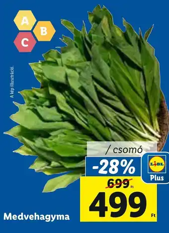 Medvehagyma 1 csomó