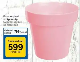Tesco Prosperplast virágcserép 1 db ajánlat