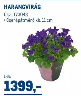 Harangvirág 1 db