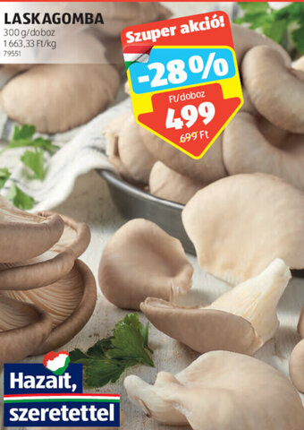 ALDI Laskagomba 300 g ajánlat