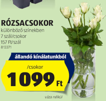 ALDI Rózsacsokor 7 szál ajánlat