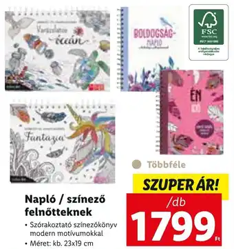Napló / színező felnőtteknek 1 db