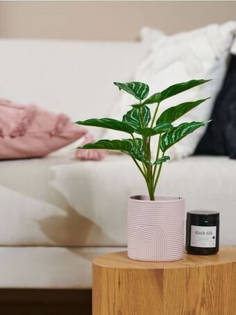 Sinsay Dekoratív műnövény ajánlat