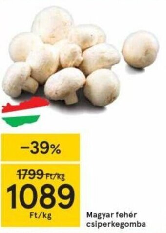 Tesco Magyar fehér csiperkegomba 1 kg ajánlat