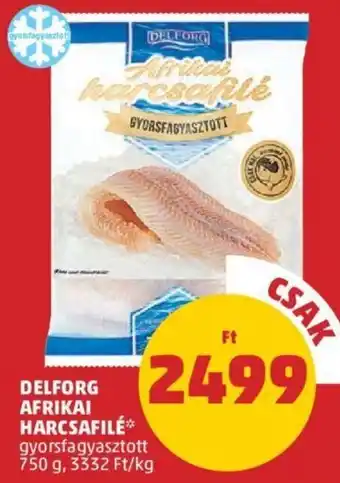 PENNY Delforg Afrikai harcsafilé 750 g ajánlat