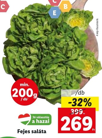 Lidl Fejes saláta 1 db ajánlat