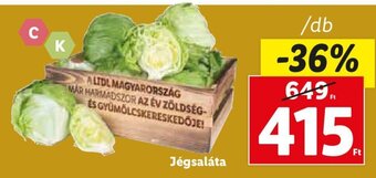 Lidl Jégsaláta 1 db ajánlat