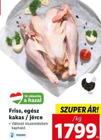Lidl Friss, egész kakas / jérce 1 kg ajánlat