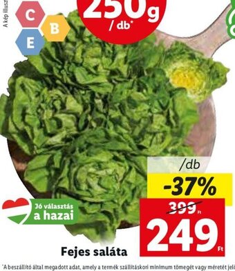 Lidl Fejes saláta 1 db ajánlat