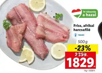 Lidl Friss, afrikai harcsafilé 500 g ajánlat