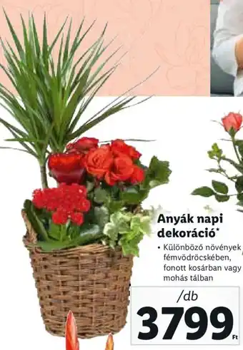 Lidl Anyák napi dekoráció 1 db ajánlat