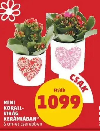 PENNY Mini korall- virág kerámiában 1 db ajánlat