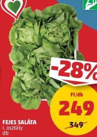 Fejes saláta 1 db