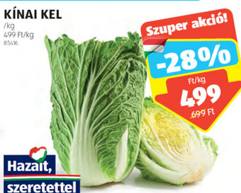 ALDI Kínai kel 1 kg ajánlat