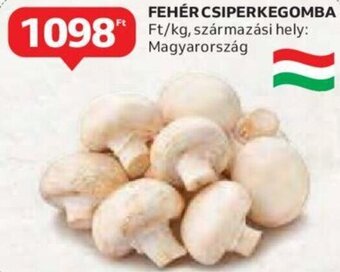 Auchan Fehér csiperkegomba 1 kg ajánlat