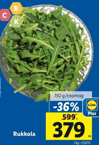 Lidl Rukkola 150 g ajánlat