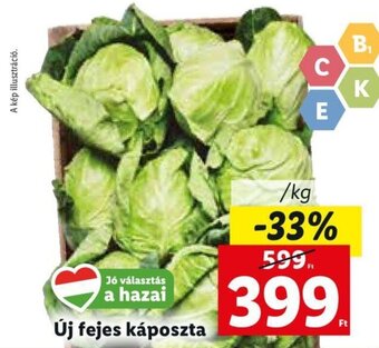 Lidl Új fejes káposzta 1 kg ajánlat